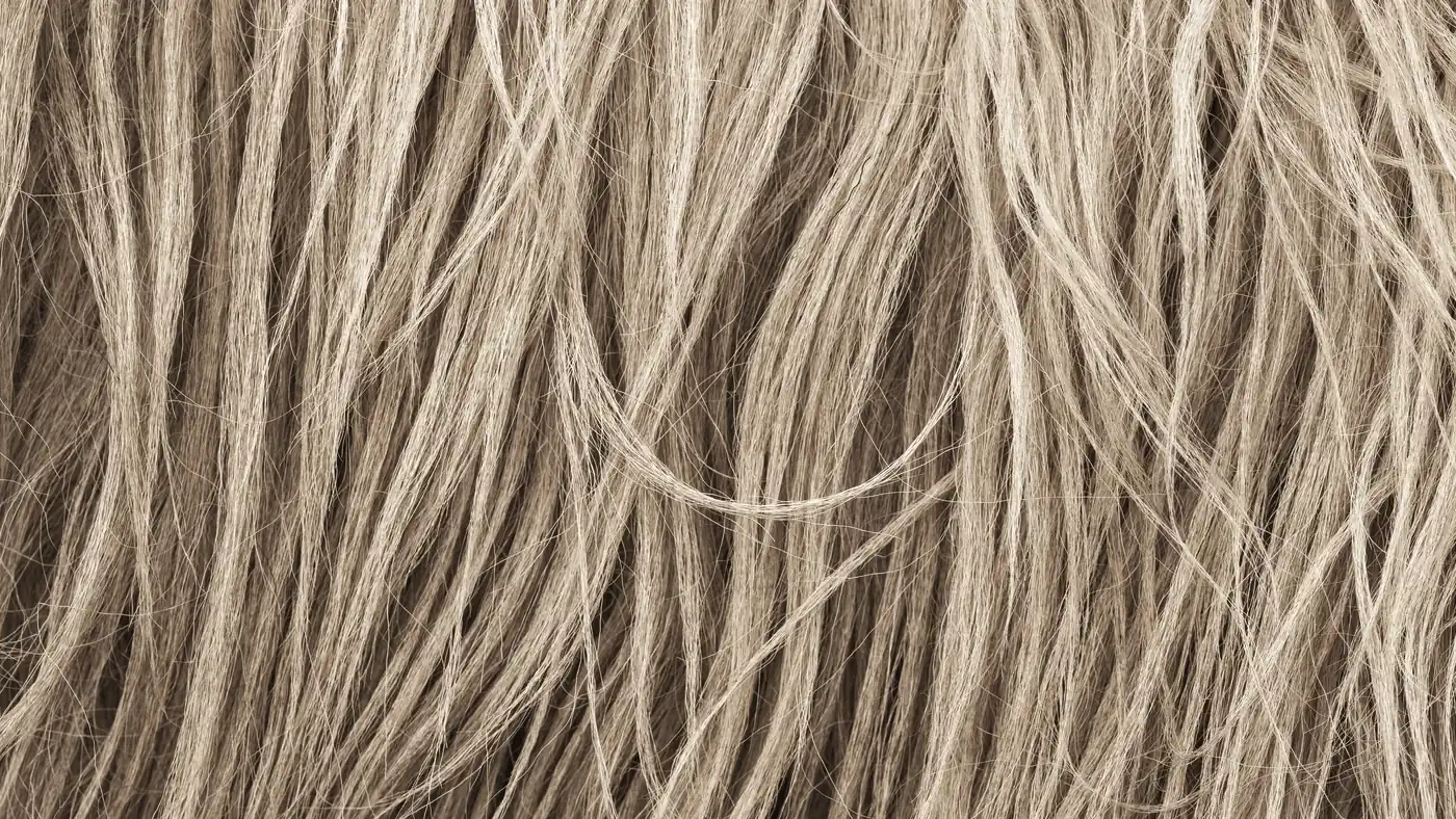Stråigt beige hår i närbild